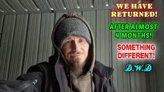 THE RETURN OF DREAMING WITH DRIFTERS | vlog, couple, life, tiny house, homesteading, off-grid |