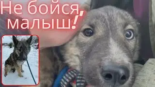 Можно, я тебя поглажу? Ефимка в Москве!