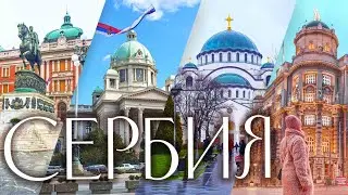 Как мы выживали в Белграде. Такого 