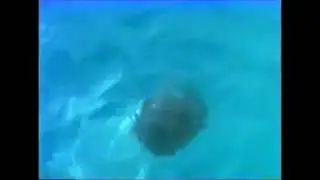 La Tua Presenza Nuda! -1972