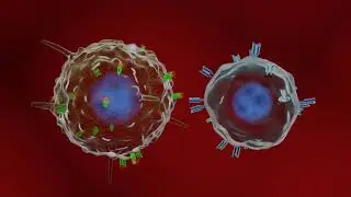 How do COVID-19 vaccines work? Animated explainer with english speak