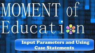 Stored Procedures: Input Parameters and Using Case Statements