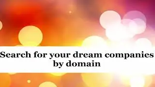 List of top companies by domain