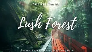 Lush Rainforest | Chilean Thermal Springs | Jungle Ambient Worlds [1hr+]