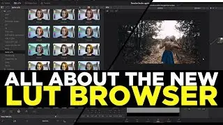 Davinci Resolve 15 Basics - All About The New LUT Browser