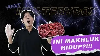 SELAIN JAGO NYANYI TERNYATA NUCA BERANI MEGANG CACING!!