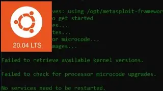 Failed to retrieve available kernel versions. Failed to check for processor microcode upgrades WSL