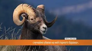 Как бабы прославили камень?