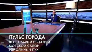 Пульс города. День памяти и скорби, летний Петербург, детские лагеря. 23 июня 2023