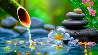 Relaxing Piano Music and Water Sounds, Relaxing Music, Stress Relief, Meditation Music, Study & Yoga