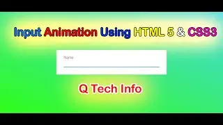 Amazing Input Animation in HTML & CSS || Q Tech Info