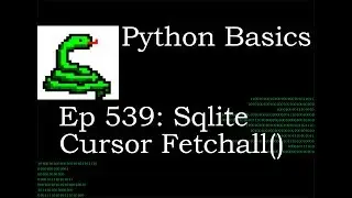 Python Basics Tutorial Sqlite Cursor Select Fetchall Method