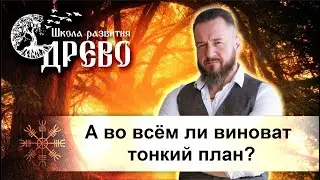 А во всём ли виноват тонкий план?