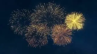 Happy New Year!