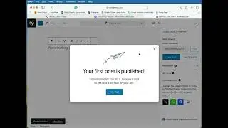 Wordpress.org:  People can't see my site, page, or post!!
