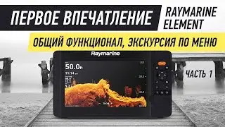 Купить Raymarine Element? Уверены? Первый обзор, но не последний