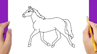 How to draw a horse