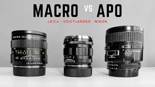 🔴 APO vs MACRO - Which Lens is Better?  |  Leica, Nikon, Voigtlander 50 APO