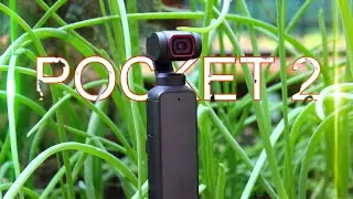 DJI Pocket 2 - Обзор, режимы съёмки. Топ камера для влогов!