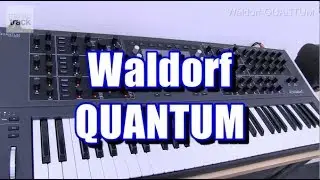 Waldorf QUANTUM Demo & Review