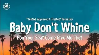 baby don't whine pon the seat come give me that tiktok song