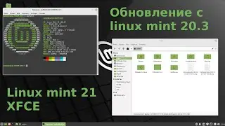 Как обновиться с Linux mint 20 до Linux mint 21