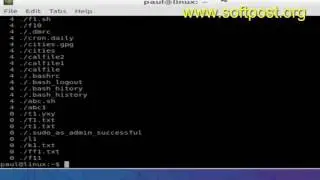 How to sort files by size in Ubuntu