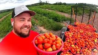 Bringing something HUGE to harvest