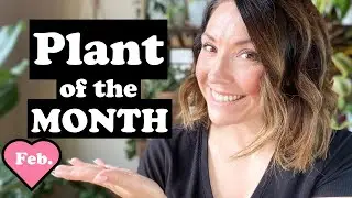 February Plant of the Month | PINK Plant Love 💗