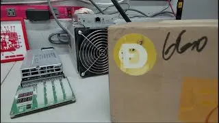 BOOM OR BUST? Goldshell Mini Doge III UNBOXING