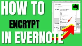 How to Encrypt in Evernote (2024)