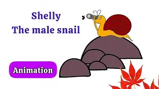 Shelly The Snail 🐌