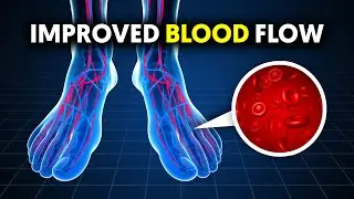 14 Foods That Will MAXIMIZE Blood Flow