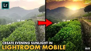 CREATE EVENING SUNLIGHT EFFECT in LIGHTROOM MOBILE | Android | iPhone