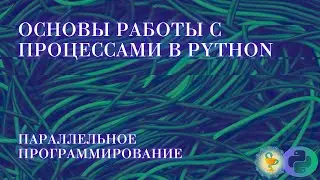 Основы работы с процессами в Python