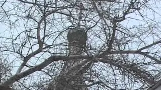 Вокруг Света   Россия Кострома