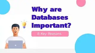 Why are databases important? (8 Key Reasons)