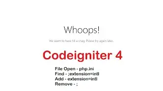 Whoops! We seem to have hit a snag. Please try again later | codeginger4 | codeginger4 error