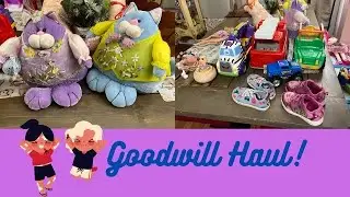 GOODWILL HAUL | FEBRUARY 2023