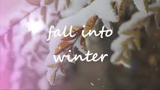 Fall into Winter [ #lofi #jazzhopmusic #jazzy #jazzy #winter #jazzmusic #fall #autumn  ]