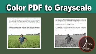 How to convert Color PDF Document to grayscale using Adobe Acrobat Pro