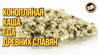HEMP PORRIDGE IS THE FOOD OF THE ANCIENT SLAVS. Porridge made of Hemp