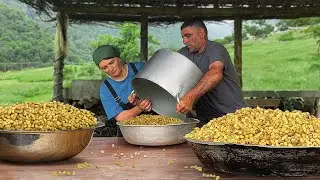 Harvesting Fresh Harvest From Trees! Prepared Sweet White Mulberry Jam