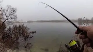 Рыбалка в туман