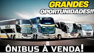 ÔNIBUS À VENDA!! 10 GRANDES OPORTUNIDADES COM DOUBLE DECKER, MICRO ÔNIBUS E VANS