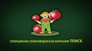 Лучшие сорта и гибриды томатов для любителей