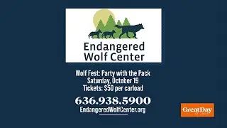 Wolf Fest at The Endangered Wolf Center!