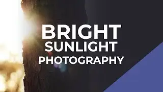 How to Shoot Photographs in Bright Sunlight