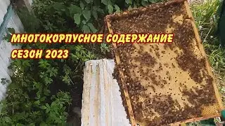 многокорпусное содержание пчеловодство 2023