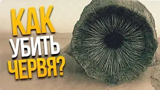 Как убить Червя из Дюны? Чего боятся Черви из Дюны?